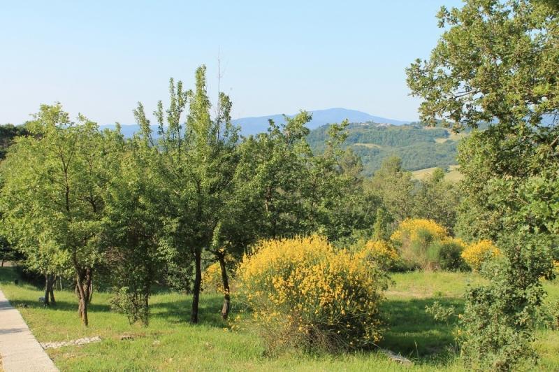 Agriturismo Podere Costarella Villa Radicondoli Habitación foto